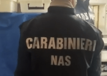 Ottaviano quarto nola