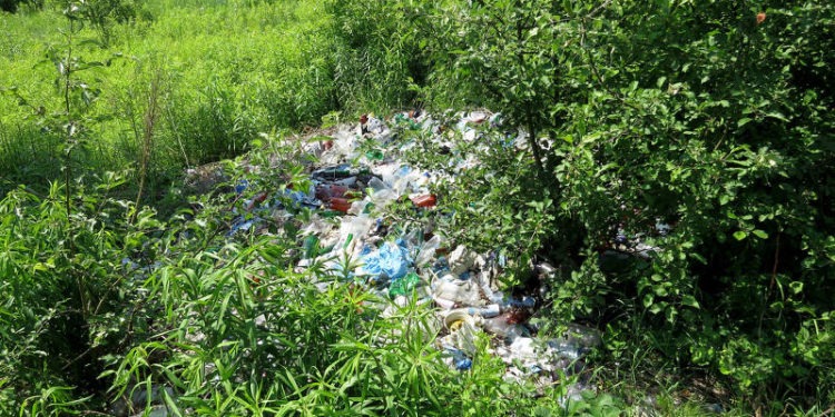 Free picture (Dump garbage in nature) from https://torange.biz/dump-garbage-nature-24695