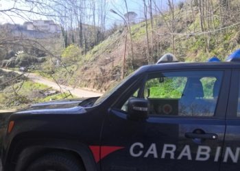 area boschiva carabinieri