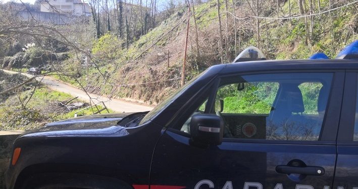 area boschiva carabinieri