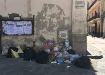 fototrappola