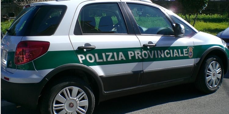 polizia provinciale