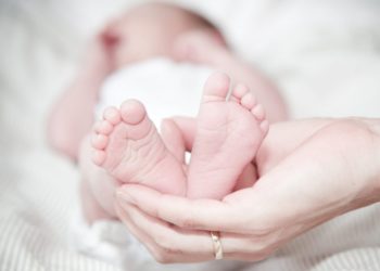 succivo neonata