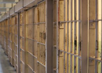 Cercola bosti tablet