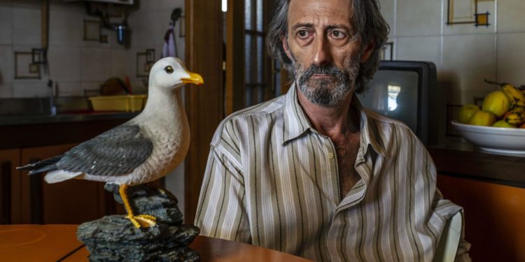 Il ladro di cardellini