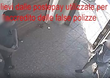 organizzazione criminale