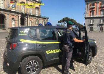 reddito di cittadinanza