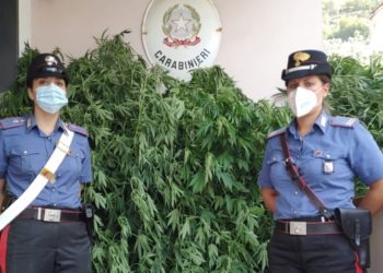 marijuana carabinieri