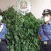 marijuana carabinieri