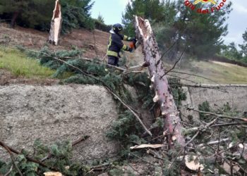 In Irpinia, i vigili del fuoco rimuovono un grosso tronco caduto sull’autostrada A16