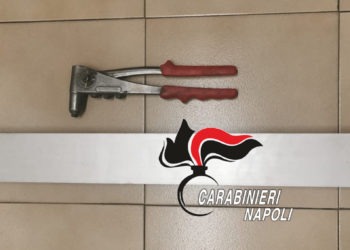maltrattamenti in famiglia