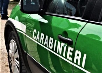 Provincia di Avellino