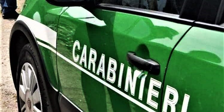 Provincia di Avellino