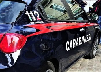 Operazione antibracconaggio