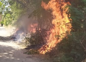 Un nuovo rogo tossico a Orta di Atella: bruciati rifiuti speciali a Casapozzano