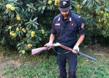 Sorpreso a cacciare fuori stagione in un’area protetta, denunciato bracconiere a Roccamonfina