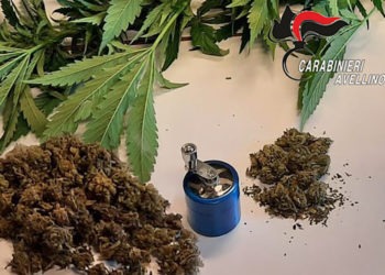 Coltivava marijuana in casa: denunciato 50enne nell’Avellinese