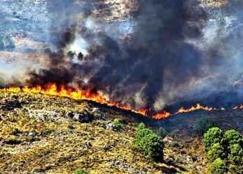 Campania, Wwf: “Grave errore eliminare la commissione Terra dei fuochi”