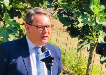 Covid-19, quattro morti in poche ore a Cesa. Il sindaco Guida: “Dall’appello all’Asl nulla è cambiato”