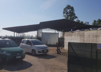 Inquinamento ambientale, sequestrata azienda bufalina nel Casertano