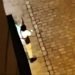 Attentato terroristico a Vienna. Sale il bilancio: 4 vittime e 17 feriti