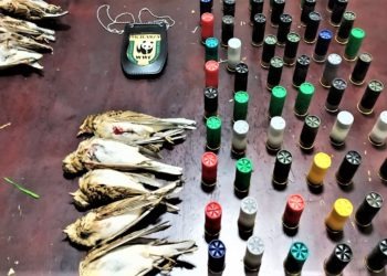 Sessa Aurunca, due bracconieri denunciati dai carabinieri