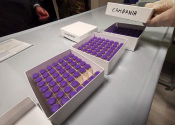 Vaccine Day Campania