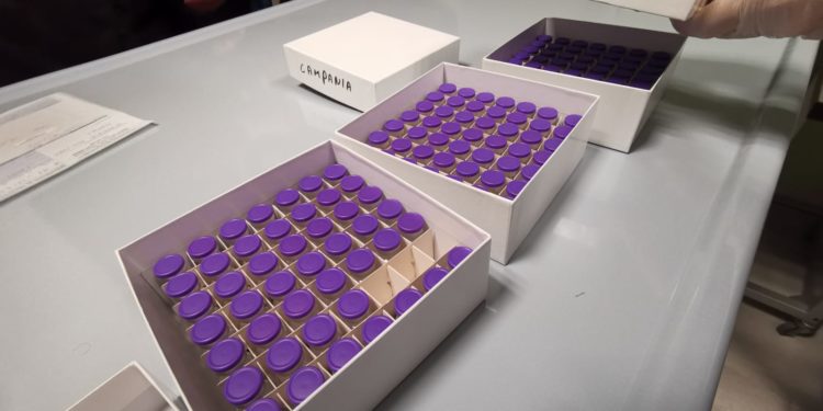 Vaccine Day Campania