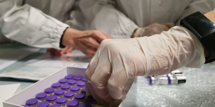 Vaccine Day Campania