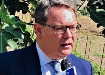 Finanziamenti per 350.000 euro in arrivo a Cesa nel 2021