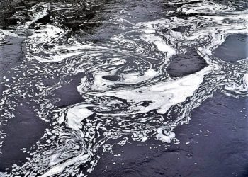 Fiume Sarno, il bilancio della forestale: 144 denunce per inquinamento in sei mesi