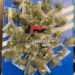 Giugliano in Campania, droga nel box auto: carabinieri arrestano 20enne