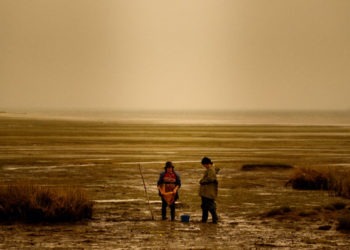 Laceno d’oro 2020, Lois Patiño protagonista col suo cinema di poesia