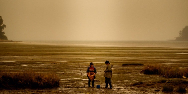 "Lúa vermella (Red Moon Tide)" di Lois Patiño