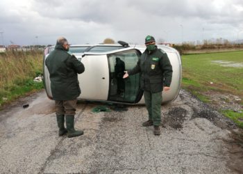 cimitero auto Acerra Afragola Wwf