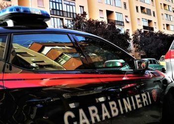 Portici, struttura abusiva scoperta nell’Istituto zooprofilattico: denunciato il direttore