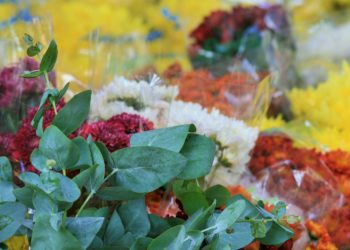 Fioristi sul lastrico, nel 2021 tre botteghe su dieci chiuderanno in provincia di Caserta