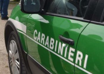 Gestione illecita di rifiuti in Irpinia: deferiti due imprenditori edili