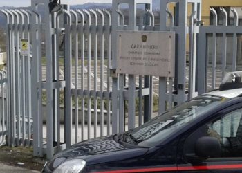 Non mandano i figli a scuola: tre genitori denunciati dai carabinieri nell’Avellinese