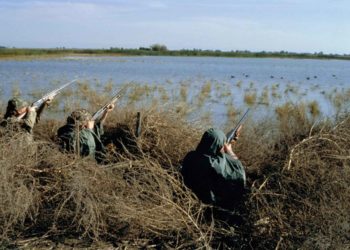 Prolungamento stagione venatoria, il Tar respinge la richiesta della Regione Campania di revocare la sospensiva