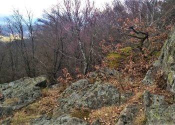 Salerno, trovato senza vita l’anziano scomparso sui monti Picentini