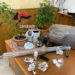 “Pietre” di cocaina purissima in cassaforte e piantagione casalinga di cannabis: arrestato 25enne incensurato nel Napoletano