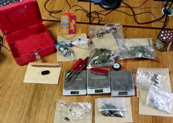 Ischia, nascondono droga nel giardino: denunciati un 20enne e un 16enne