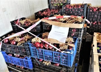 Mercato ortofrutticolo di San Tammaro: i carabinieri sequestrano mezza tonnellata di prodotti non tracciati