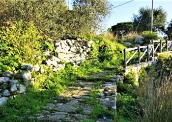 Percorsi escursionistici tra Sorrento e Massa Lubrense, riparte il progetto “Tolomeo”