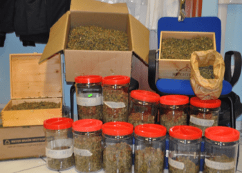 Coltivava e vendeva droga in casa, in manette 51enne a Cava de’ Tirreni