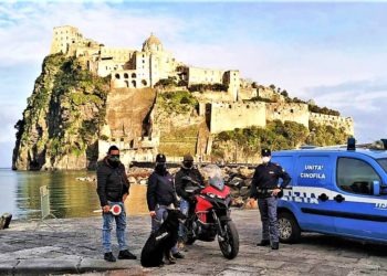 Ischia, controlli a tappeto della polizia: una persona denunciata per droga