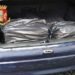Contrabbando di sigarette, denunciato 60enne a Napoli