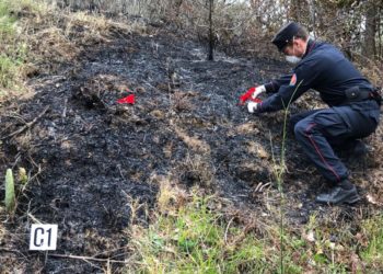 Incendia 38 ettari della catena “Monte Maggiore”: arrestato un uomo nel Casertano