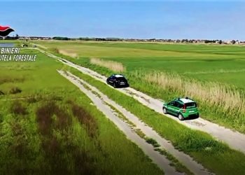 “Strage” di volatili nel Casertano: indagati due bracconieri (Video)